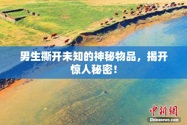 男生撕开未知的神秘物品，揭开惊人秘密！