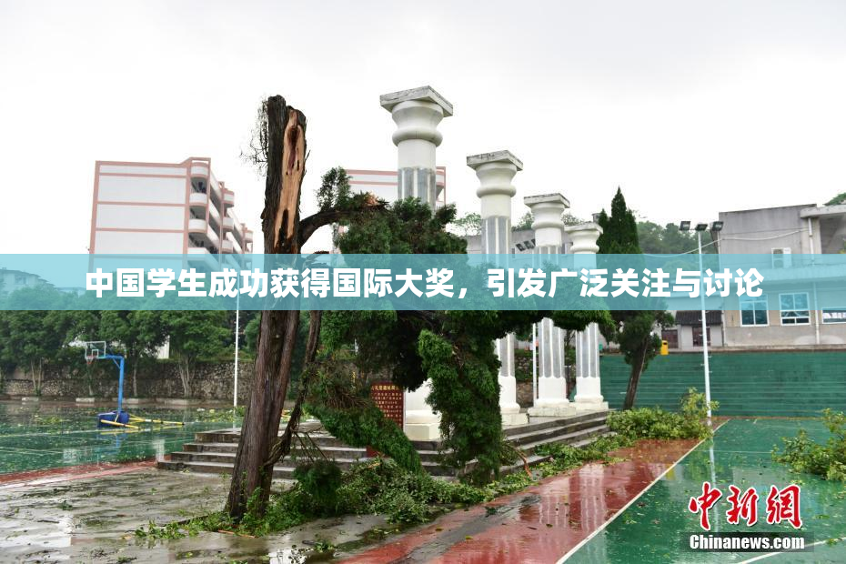 中国学生成功获得国际大奖，引发广泛关注与讨论