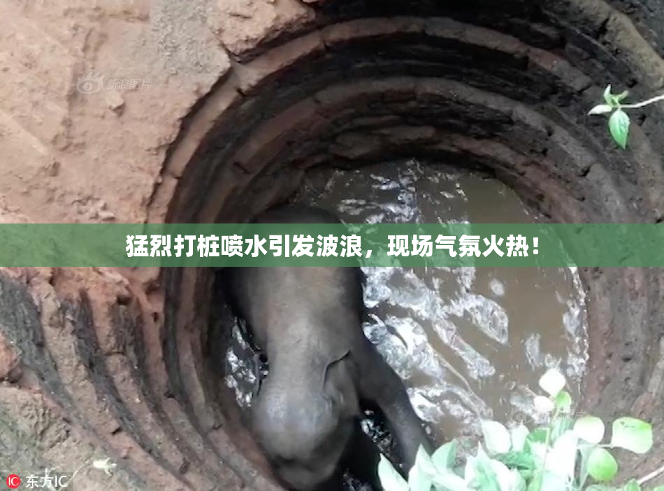 猛烈打桩喷水引发波浪，现场气氛火热！