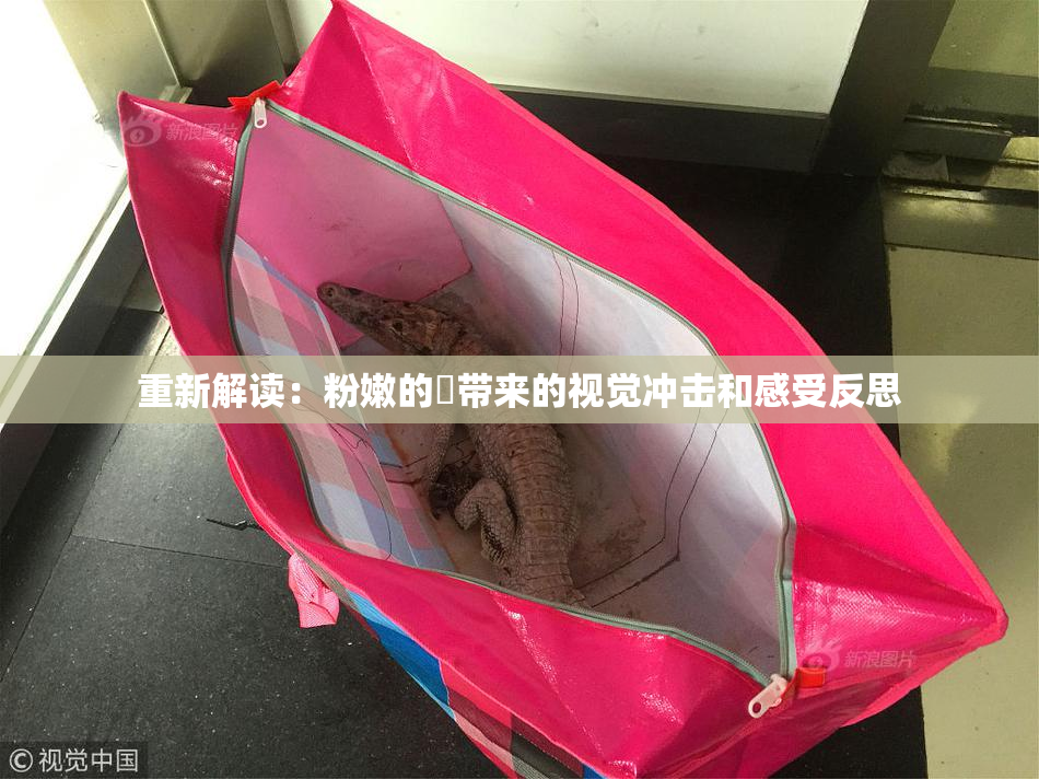 重新解读：粉嫩的泬带来的视觉冲击和感受反思