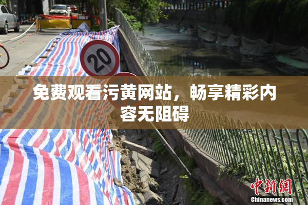 免费观看污黄网站，畅享精彩内容无阻碍