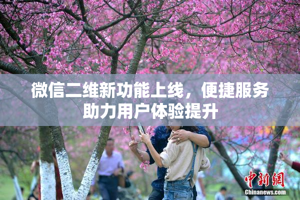 微信二维新功能上线，便捷服务助力用户体验提升
