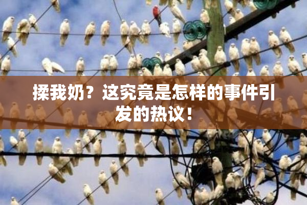 揉我奶？这究竟是怎样的事件引发的热议！