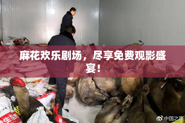 麻花欢乐剧场，尽享免费观影盛宴！