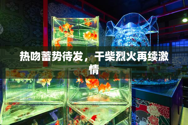 热吻蓄势待发，干柴烈火再续激情
