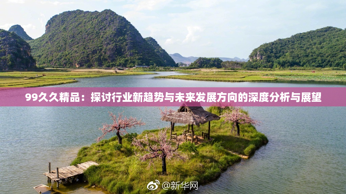 99久久精品：探讨行业新趋势与未来发展方向的深度分析与展望