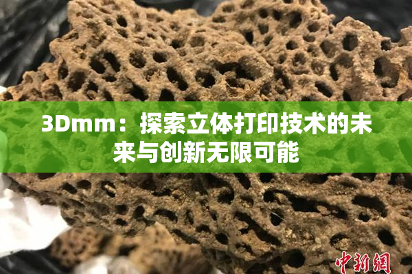 3Dmm：探索立体打印技术的未来与创新无限可能