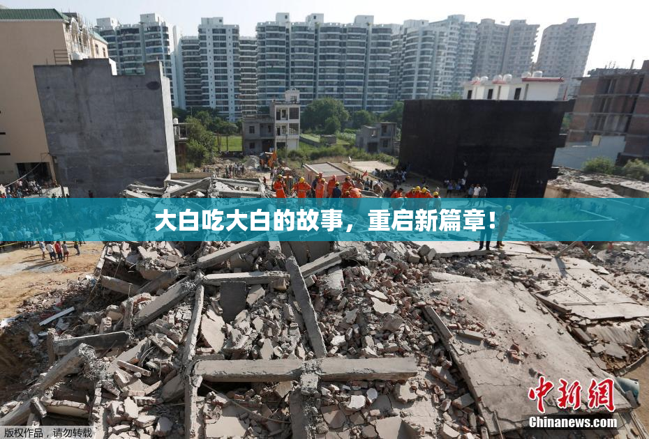 大白吃大白的故事，重启新篇章！