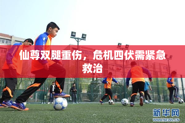 仙尊双腿重伤，危机四伏需紧急救治