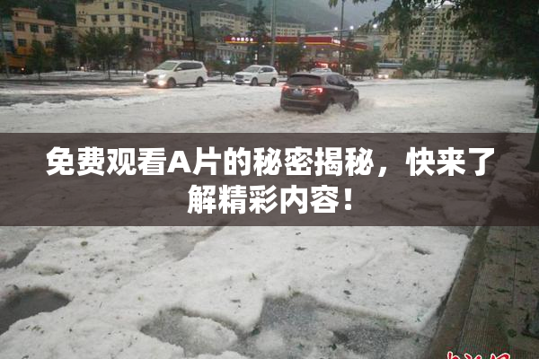 免费观看A片的秘密揭秘，快来了解精彩内容！