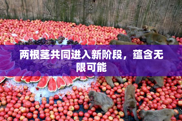 两根茎共同进入新阶段，蕴含无限可能