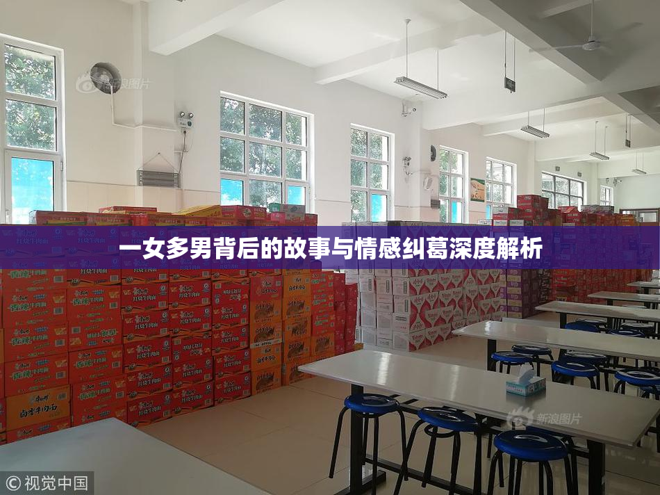 一女多男背后的故事与情感纠葛深度解析