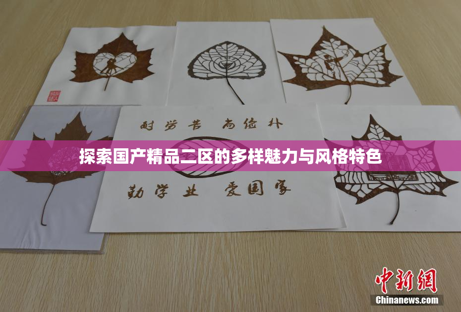 探索国产精品二区的多样魅力与风格特色