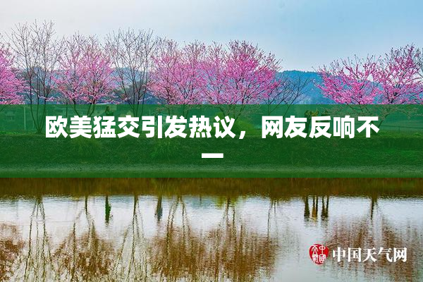 欧美猛交引发热议，网友反响不一