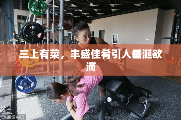 三上有菜，丰盛佳肴引人垂涎欲滴