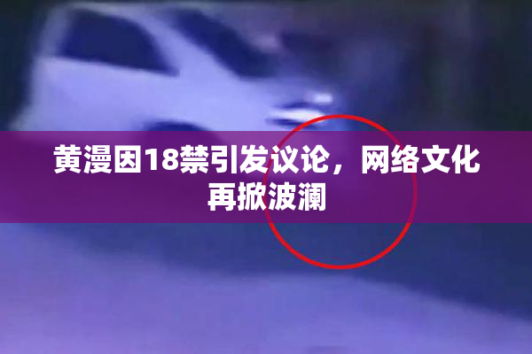 黄漫因18禁引发议论，网络文化再掀波澜