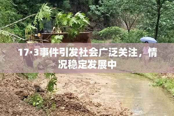 17·3事件引发社会广泛关注，情况稳定发展中