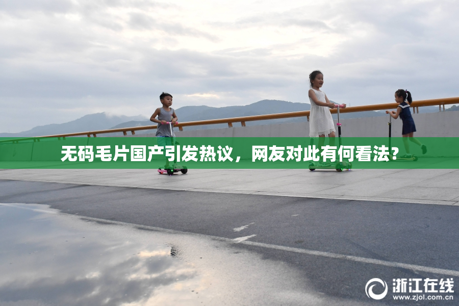 无码毛片国产引发热议，网友对此有何看法？