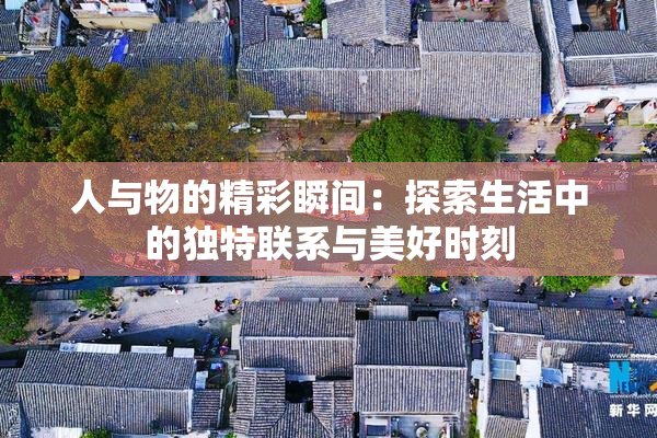 人与物的精彩瞬间：探索生活中的独特联系与美好时刻