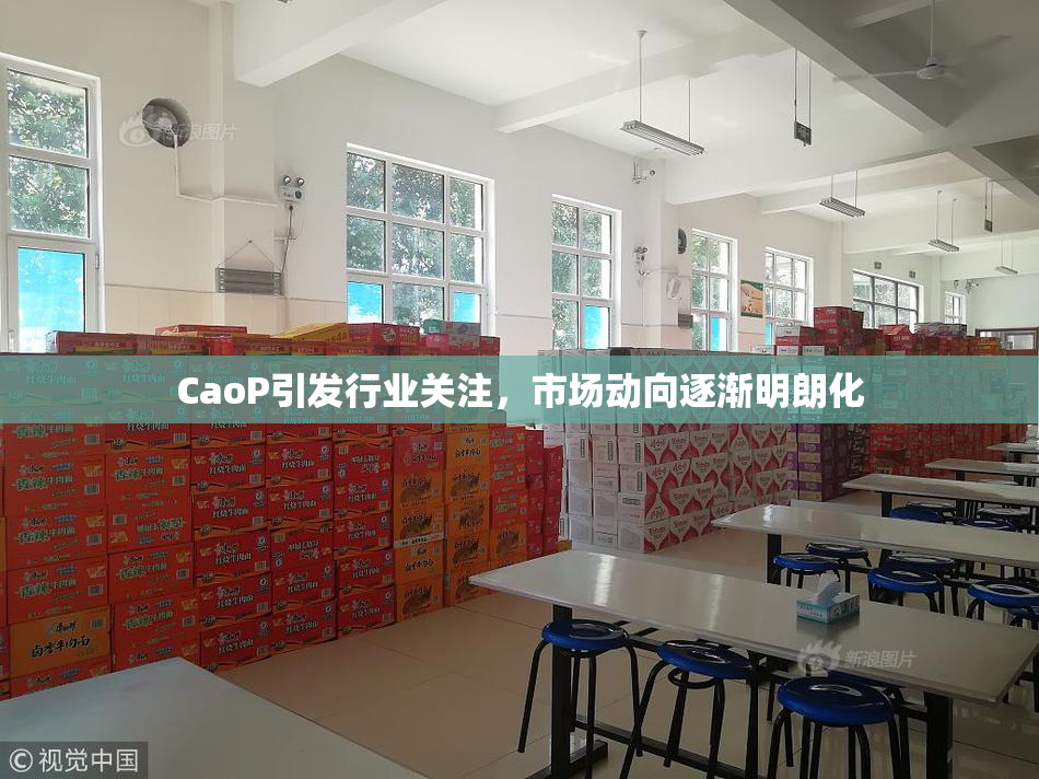 CaoP引发行业关注，市场动向逐渐明朗化