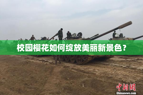 校园樱花如何绽放美丽新景色？