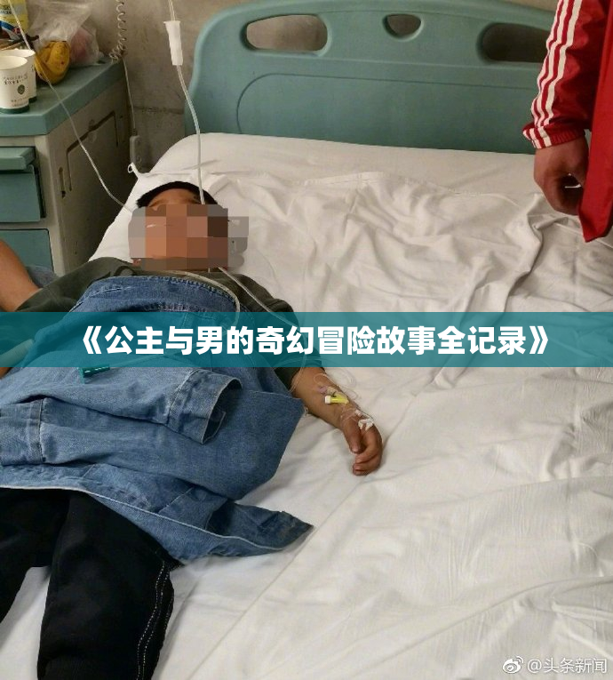 《公主与男的奇幻冒险故事全记录》