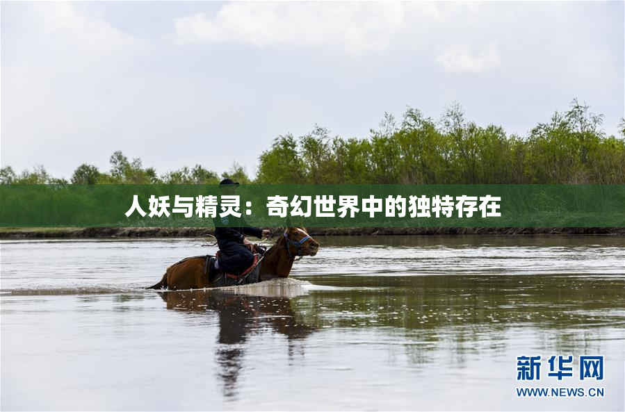 人妖与精灵：奇幻世界中的独特存在