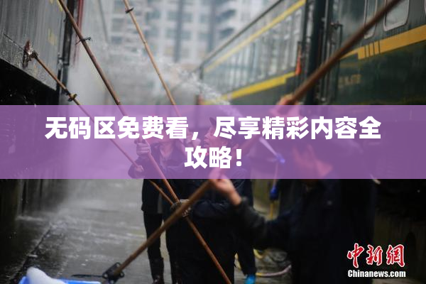 无码区免费看，尽享精彩内容全攻略！