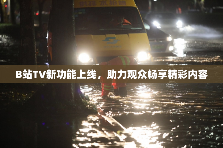 B站TV新功能上线，助力观众畅享精彩内容