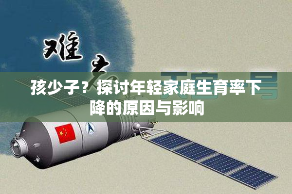 孩少子？探讨年轻家庭生育率下降的原因与影响
