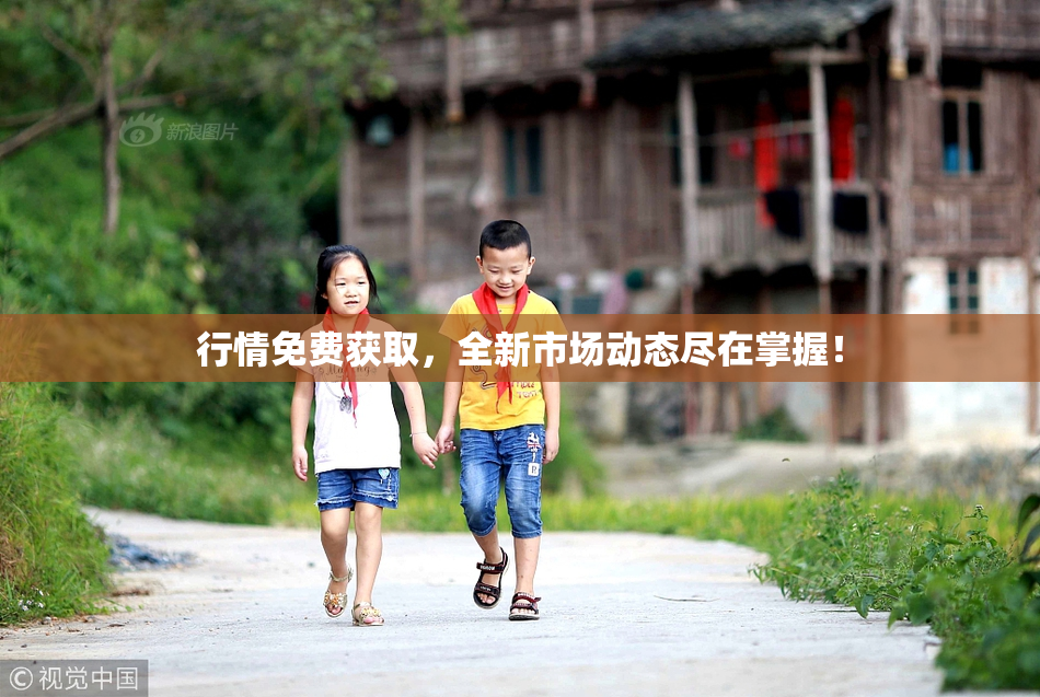 行情免费获取，全新市场动态尽在掌握！