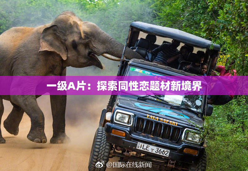 一级A片：探索同性恋题材新境界