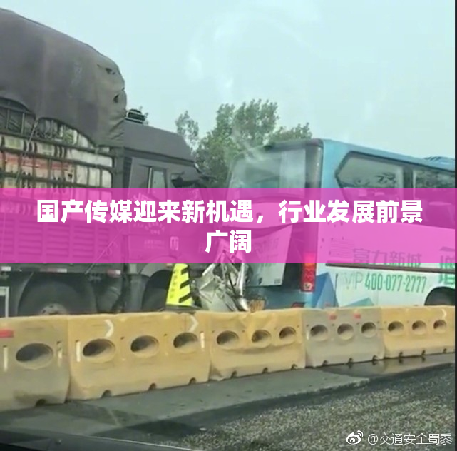 国产传媒迎来新机遇，行业发展前景广阔