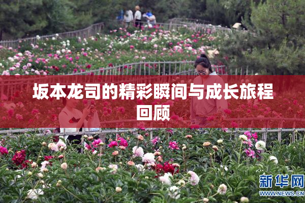 坂本龙司的精彩瞬间与成长旅程回顾