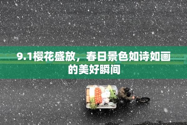 9.1樱花盛放，春日景色如诗如画的美好瞬间
