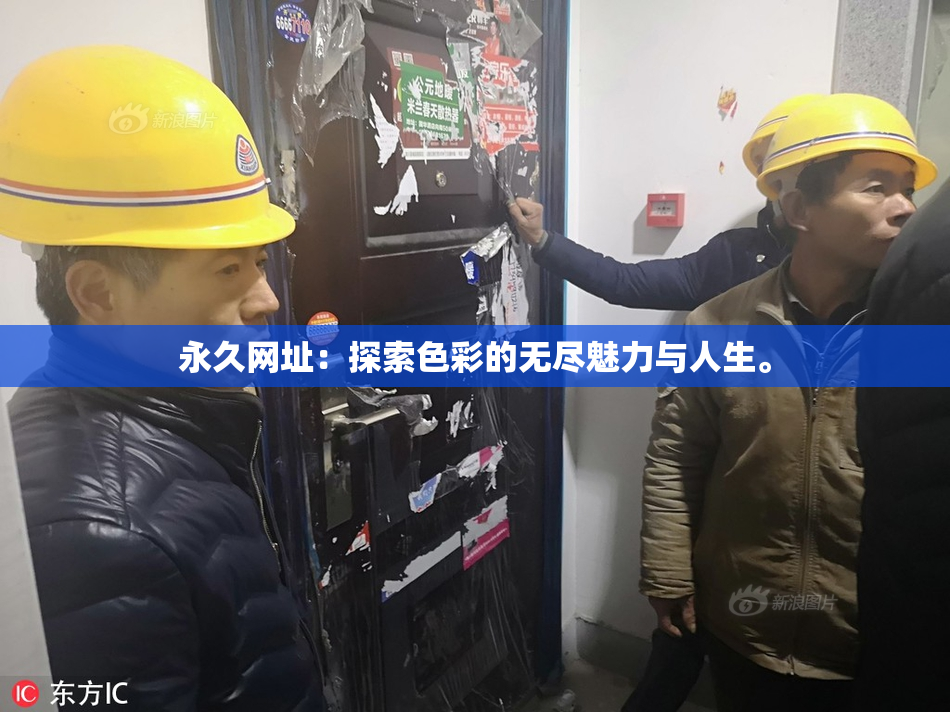 永久网址：探索色彩的无尽魅力与人生。