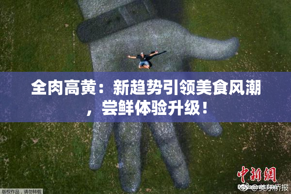 全肉高黄：新趋势引领美食风潮，尝鲜体验升级！