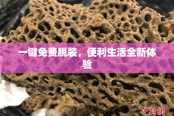 一键免费脱装，便利生活全新体验