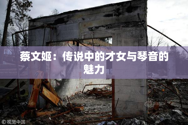 蔡文姬：传说中的才女与琴音的魅力