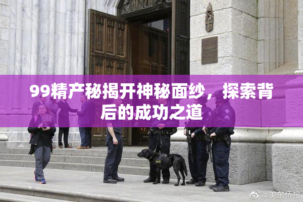 99精产秘揭开神秘面纱，探索背后的成功之道