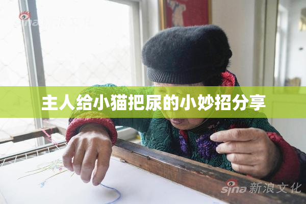 主人给小猫把尿的小妙招分享