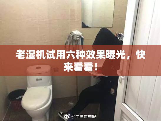 老湿机试用六种效果曝光，快来看看！