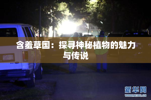 含羞草国：探寻神秘植物的魅力与传说