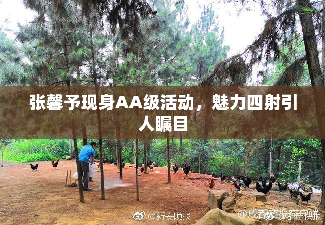张馨予现身AA级活动，魅力四射引人瞩目