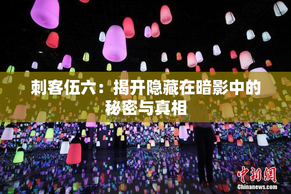 刺客伍六：揭开隐藏在暗影中的秘密与真相