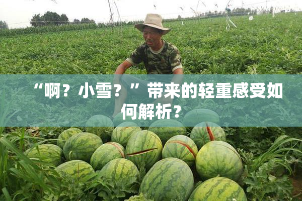 “啊？小雪？”带来的轻重感受如何解析？