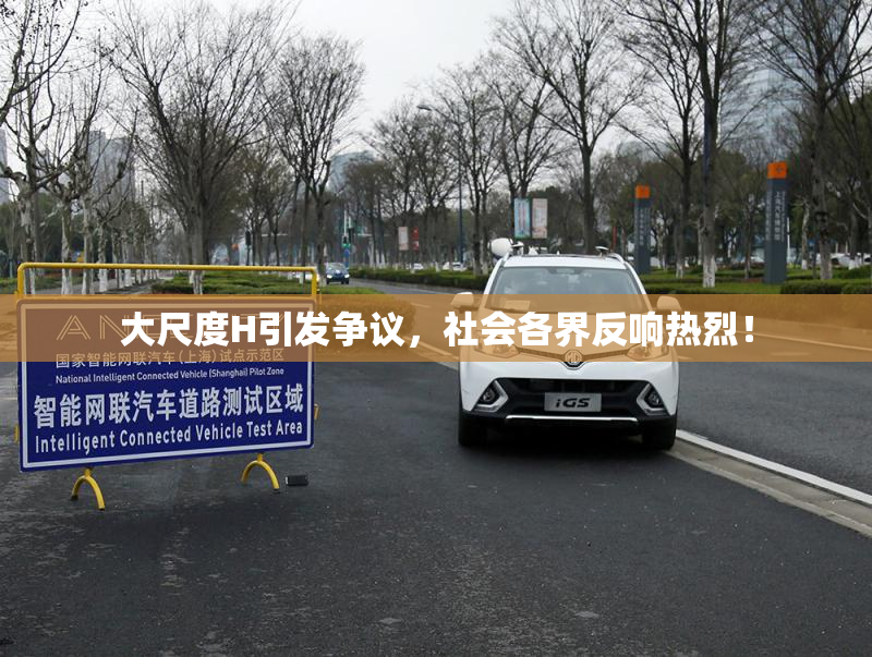 大尺度H引发争议，社会各界反响热烈！