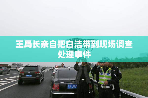 王局长亲自把白洁带到现场调查处理事件