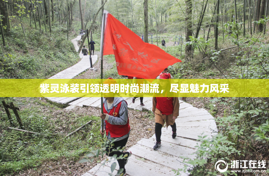 紫灵泳装引领透明时尚潮流，尽显魅力风采