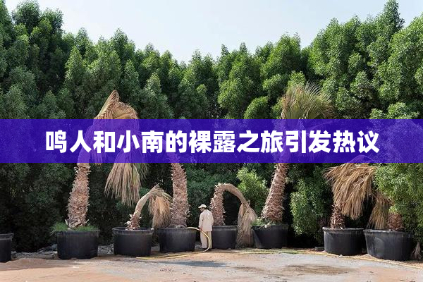 鸣人和小南的裸露之旅引发热议